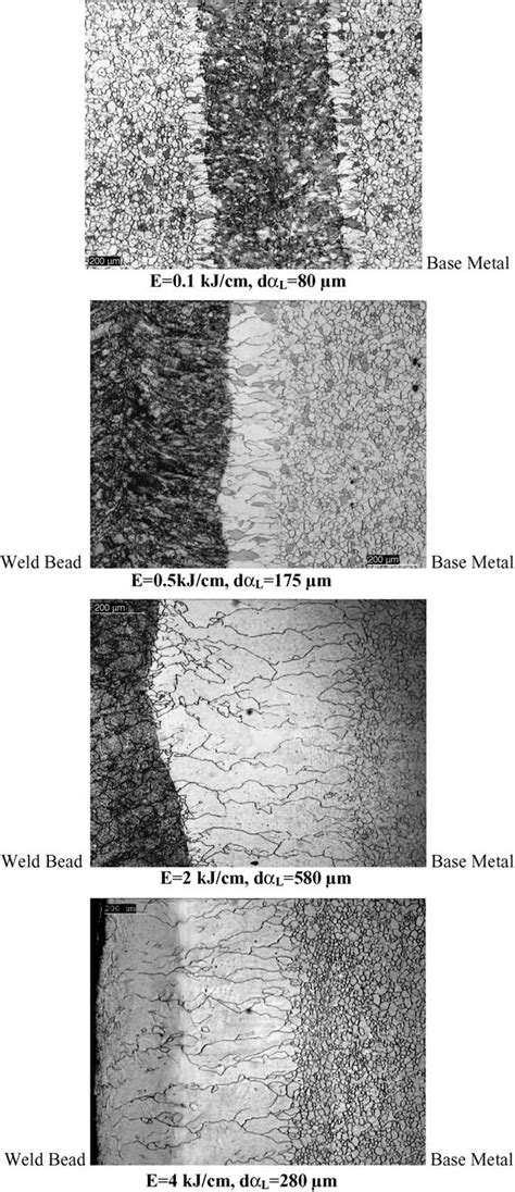 Evolution of the ferrite grain size in HAZ of the grade of IF-TiNb (t ...