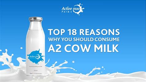 Top 18 Reasons Why You Should Consume A2 Cow Milk - Active Moo Farmms