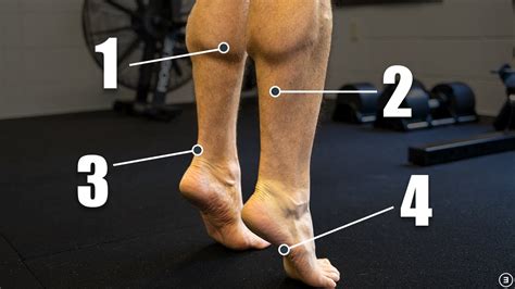 Chronic Ankle Instability | Recurrent Lateral Sprains (Strength ...