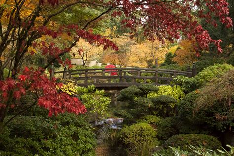 Gem of the Pacific Northwest: The Portland Japanese Garden | The Daily ...