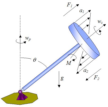 Gyroscope Physics