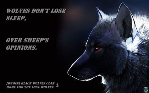 Wolf Quotes Wallpapers - Top Free Wolf Quotes Backgrounds - WallpaperAccess