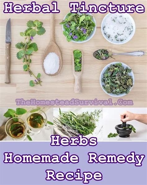 Herbal Tincture Herbs Homemade Remedies Recipe - The Homestead Survival