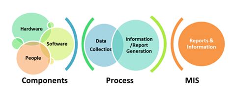 Management Information System