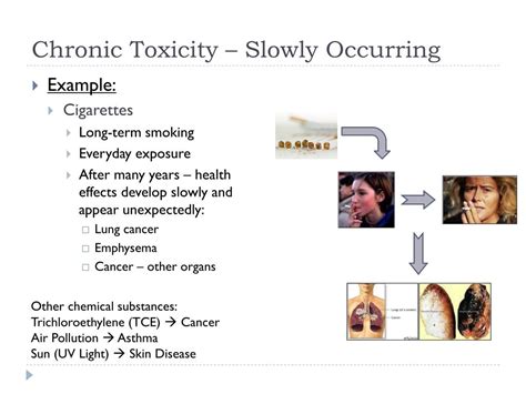 PPT - Principles of Environmental Toxicology PowerPoint Presentation ...