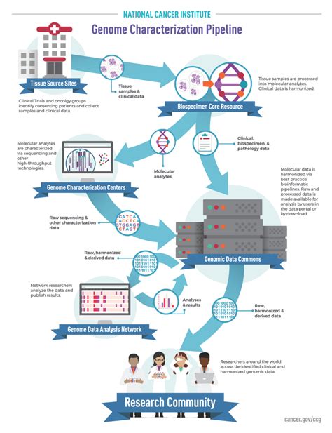 Genome Characterization Pipeline - Center for Cancer Genomics - NCI