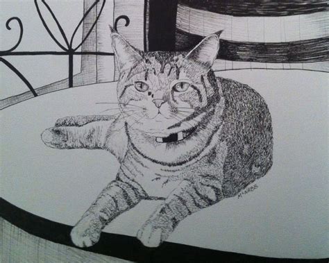 Cat on a table drawing. Ink drawing. Realistic cat drawing. It's a ...