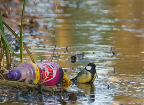 Hideous litter stats tell a depressing story - Clean Up Britain