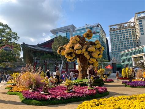 Jogyesa Temple: How To Get There & What To See – The Soul of Seoul