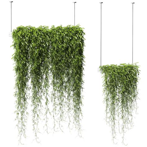 Plants in Hanging Planters v2 - 2 models | 3D model | Hanging plants ...