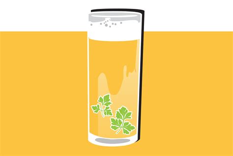 What's a Gose Beer? • Hop Culture