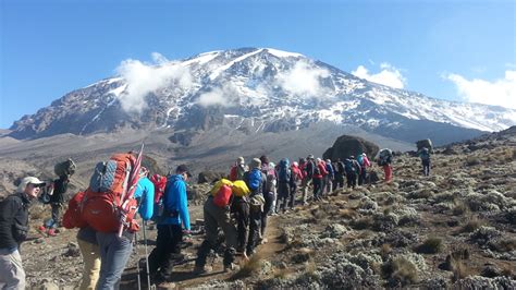 Mount Kilimanjaro national park | Kilimanjaro National Park | Tanzania