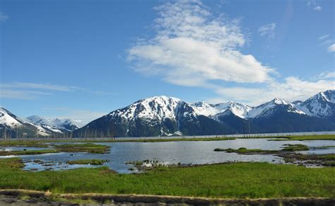 The Bluest Muse: Alaska Adventures: Bumming around Moose Pass and ...