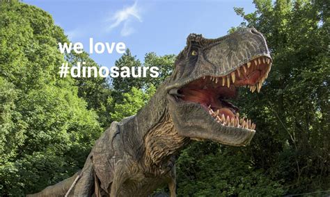 Combe Martin Wildlife and Dinosaur Park - Visit Ilfracombe