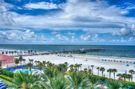 5 Pet Friendly Places to Stay in Clearwater Beach, Florida - Family ...