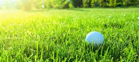 What Kind of Grass Can Be Used for Putting Greens?