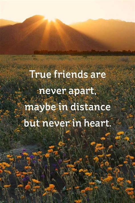 59 True Friendship Quotes - Best Friends Forever Quotes - BoomSumo