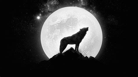 HD wallpaper: howling wolf digital wallpaper, manga, anime, Moon, one ...