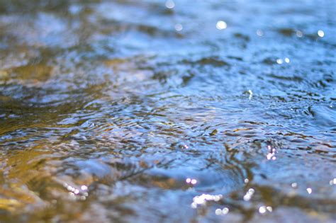 Finding Water in the Desert - The River Basin Center