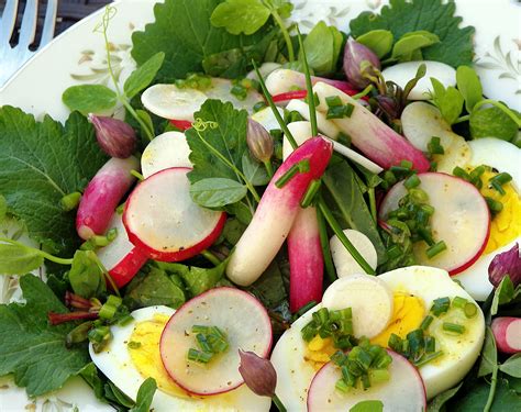 Organic Turnip Salad with Summer Savory Dressing