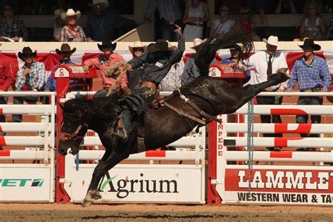 What is Saddle Bronc Riding? - Cowboy Lifestyle Network