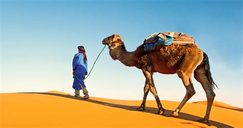 Morocco Desert Tours