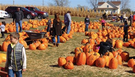 Take a Family Halloween Tour in the Texas Hill Country | LaptrinhX / News