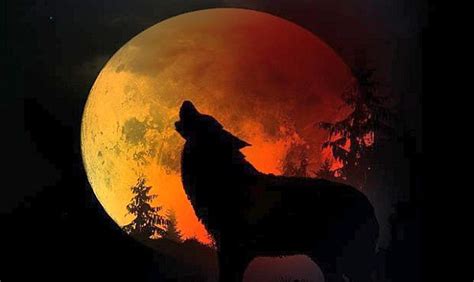 This Sunday's Total Lunar Eclipse a 'Super Blood Wolf Moon'