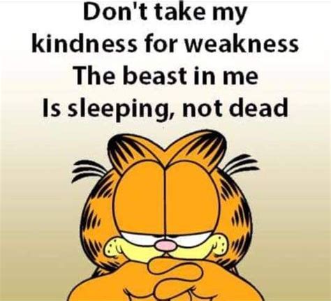 As 25 melhores ideias de Garfield pictures no Pinterest | 27 de outubro ...