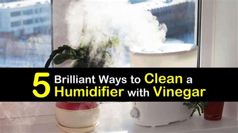 5 Brilliant Ways to Clean a Humidifier with Vinegar