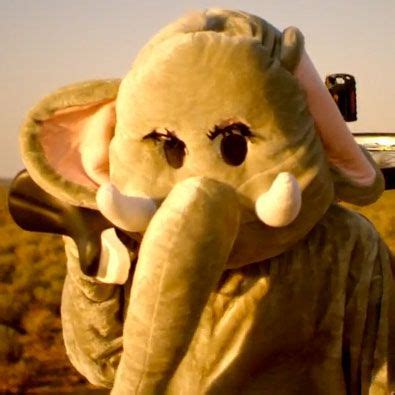 an elephant stuffed animal sitting on top of a person's shoulder in the ...