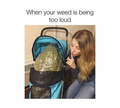 Funny Weed Memes Ideas For Stoners (2022)