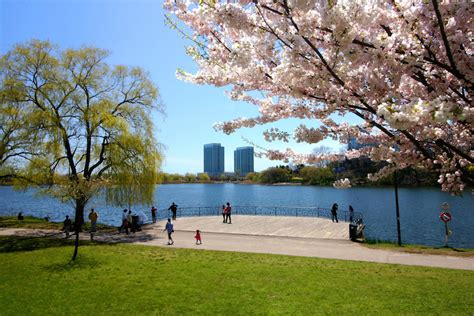 18 Top Tourist Attractions in Toronto – Touropia Travel