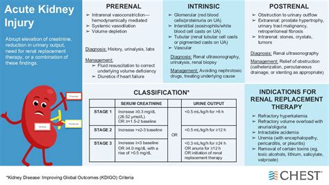 Acute Kidney Injury - Differential Diagnosis Framework PRERENAL: