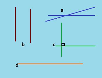 Quiz & Worksheet - Coincident Lines | Study.com