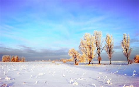 Snowy Winter Landscape wallpapers | Snowy Winter Landscape stock photos