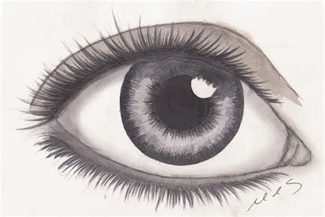 Realistic Eye Drawing by mhylands on DeviantArt