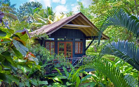 Jamaica: Adults-Only All-Inc Escape w/Unique Tree House Deluxe Room ...