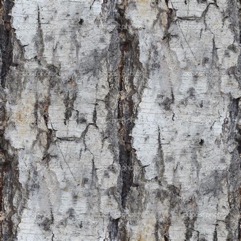 Birch Bark Wallpaper with Texture - WallpaperSafari