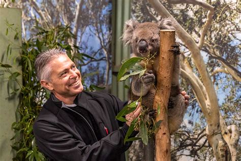 Featherdale Wildlife Park - FJ Tours Blue Mountains Day Tours