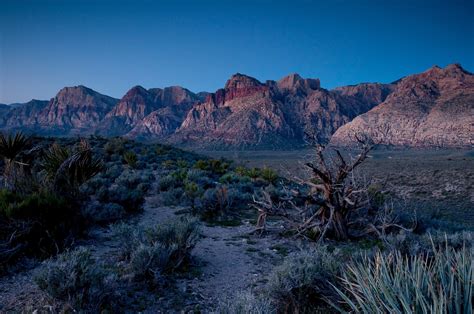 las, Nevada, Vegas, Desert, Unit, State Wallpapers HD / Desktop and ...