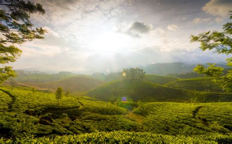 Munnar Hills India, HD World, 4k Wallpapers, Images, Backgrounds ...