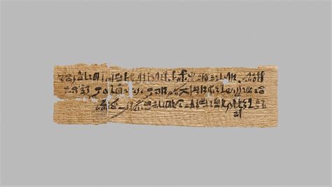 Papyrus in Ancient Egypt | Essay | The Metropolitan Museum of Art ...