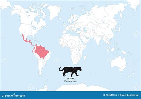 Map of the Distribution and Habitat of the Jaguar Stock Vector ...