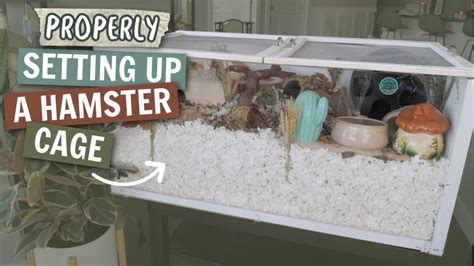 How to PROPERLY Set up a Hamster cage - YouTube