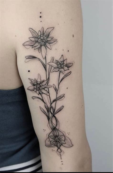 edelweiss tattoo | Edelweiss tattoo, Tribute tattoos, Tattoos