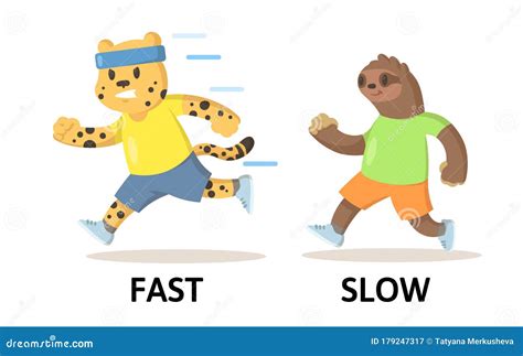 Words Fast And Slow Flashcard With Cartoon Animal Characters. Opposite ...