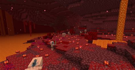 Nether Biomes