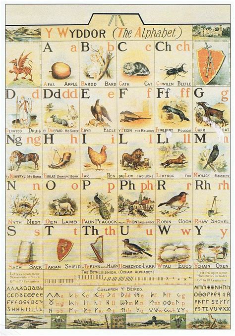 Welsh alphabet | Welsh words, Welsh symbols, Welsh alphabet