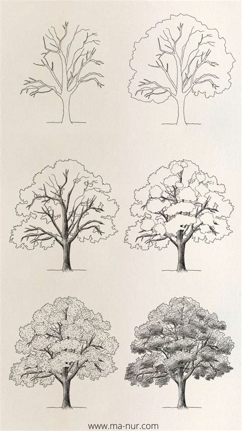 four different types of trees in black and white, each with the same ...